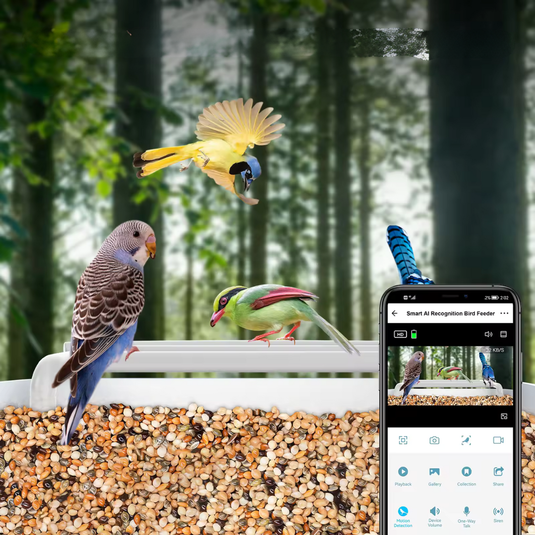 Chytré krmítko pro ptáky s kamerou a solárním panelem | Připojení přes Wi-Fi